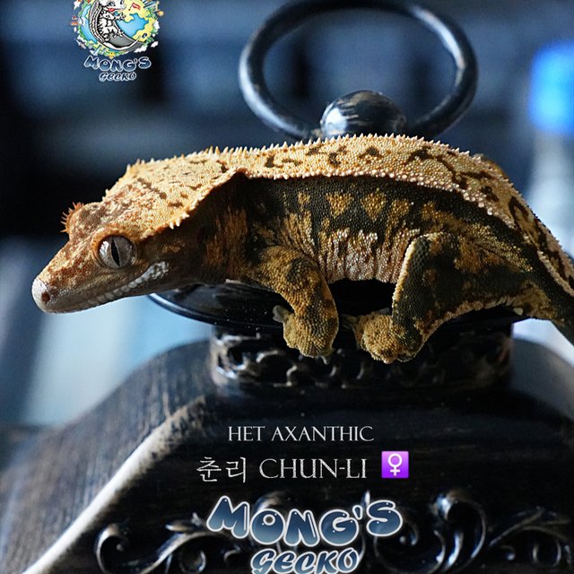 Het Axanthic