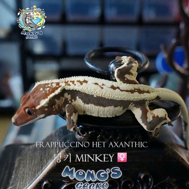 Het Axanthic Frappuccino
