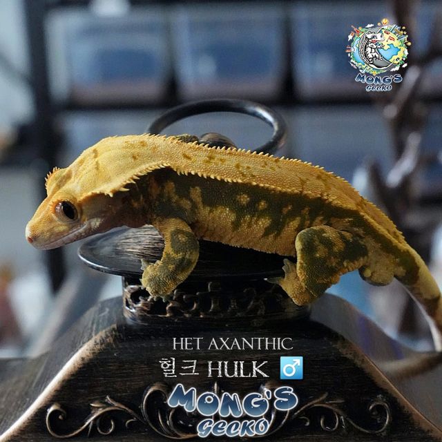 Het Axanthic